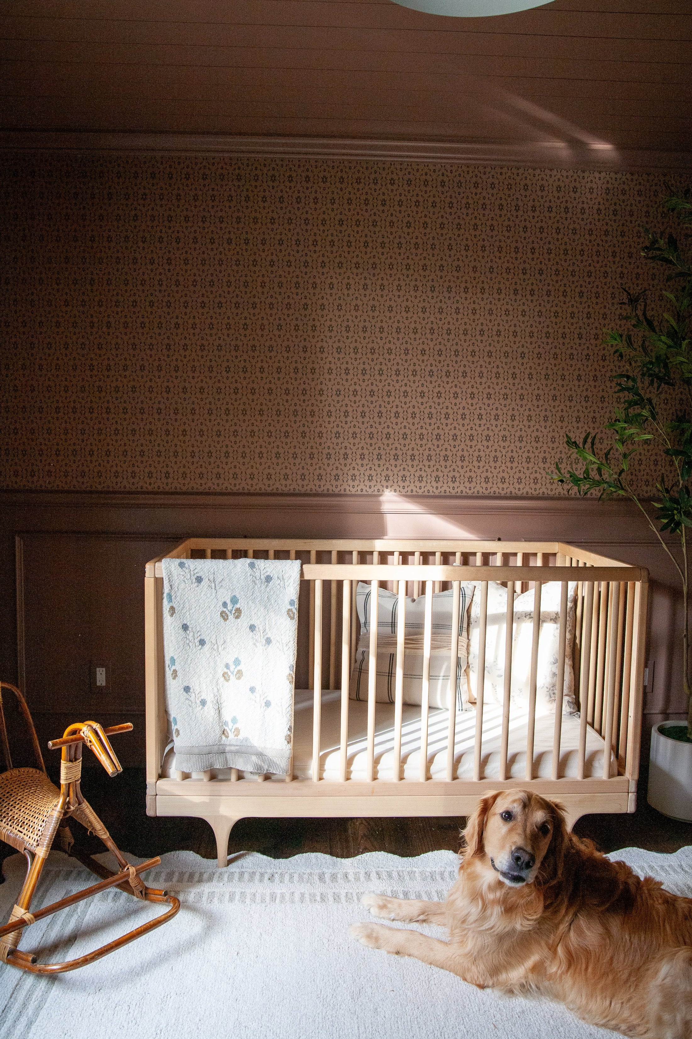 Zara Wallpaper by Thoroughfare Design