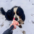 Load image into Gallery viewer, Grass Fed Dog Bone Box

