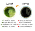 Cargar la imagen en la vista de la galería, Matcha Mushroom Blend - 30 Servings
