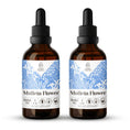 Load image into Gallery viewer, Mullein Flower Tincture
