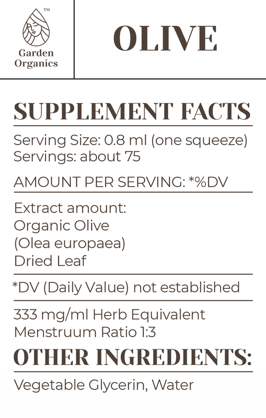 Olive Tincture