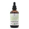 Load image into Gallery viewer, Oregon Grape Tincture
