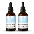 Load image into Gallery viewer, Parsley Root Tincture
