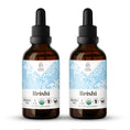 Cargar la imagen en la vista de la galería, Reishi Tincture
