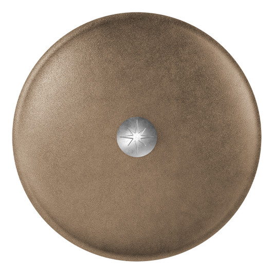 12-Inch Cast Iron Lid