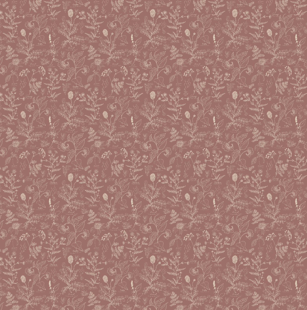 Caraway Wallpaper by Danelys Sidron