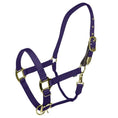 Cargar la imagen en la vista de la galería, Gatsby Gold Safety Breakaway Halter
