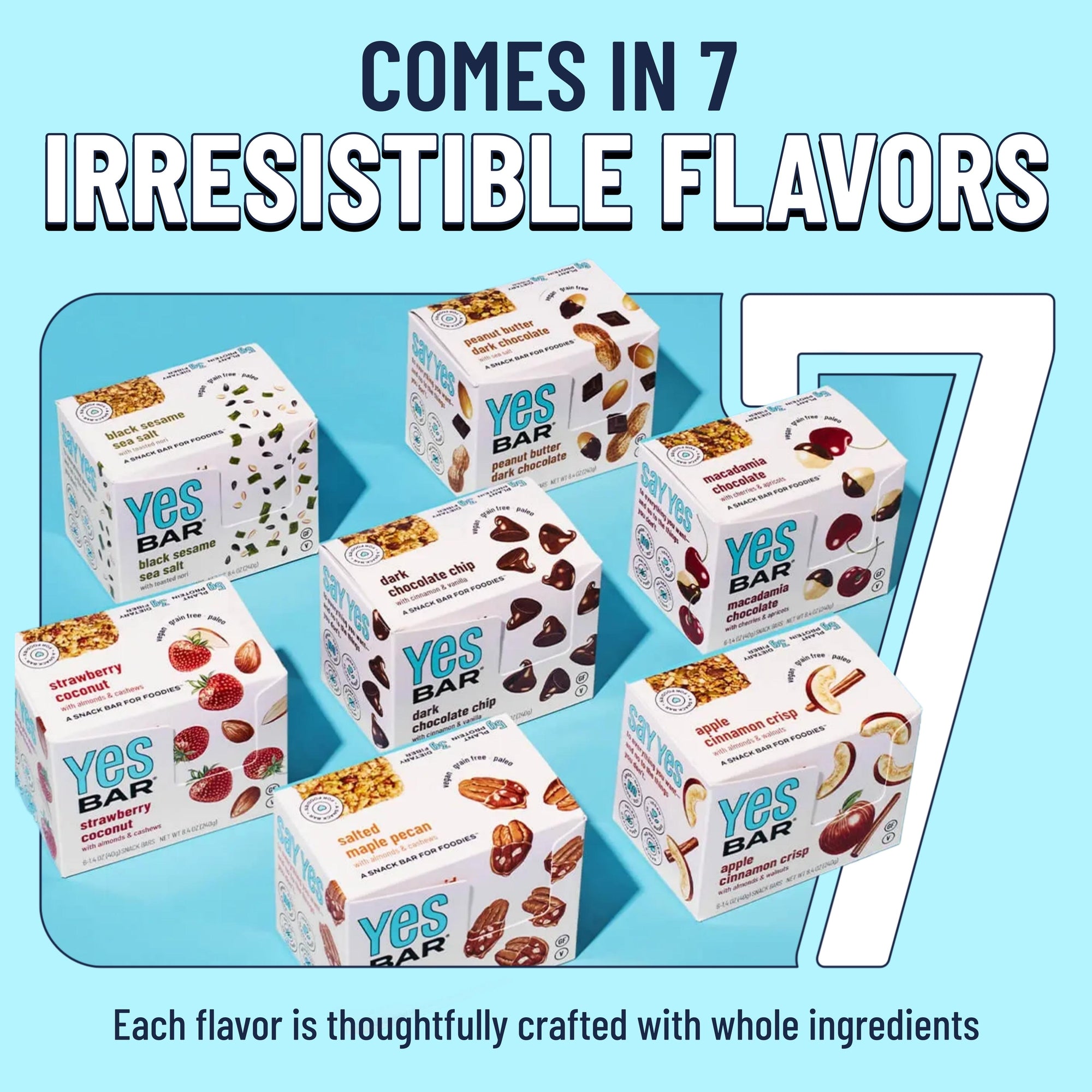 Dark Chocolate Chip Six Pack