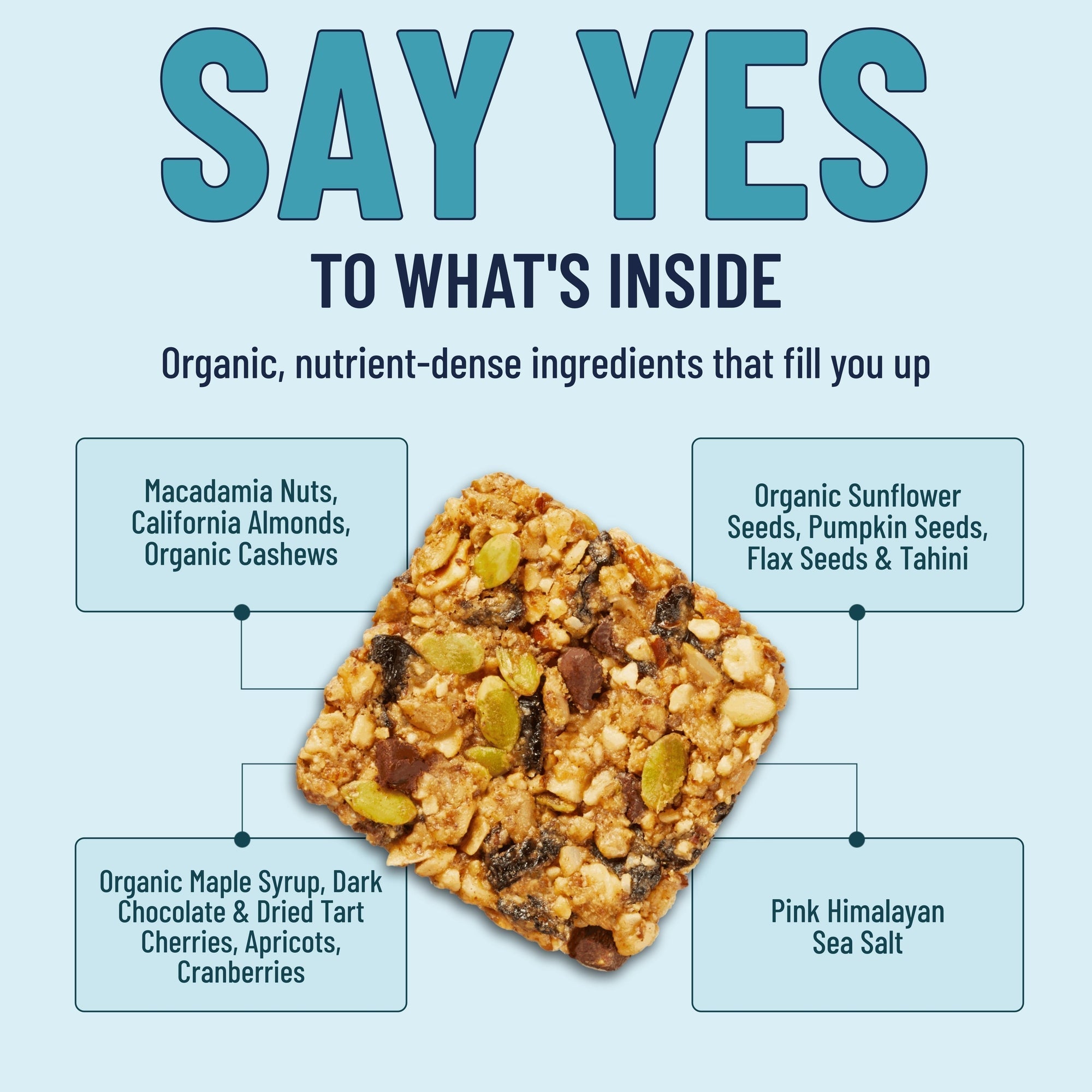 Macadamia Chocolate Six Pack