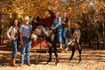 Load image into Gallery viewer, Raw Donkey Milk: Schedule pickup at Oklahoma Donkey Dairy
