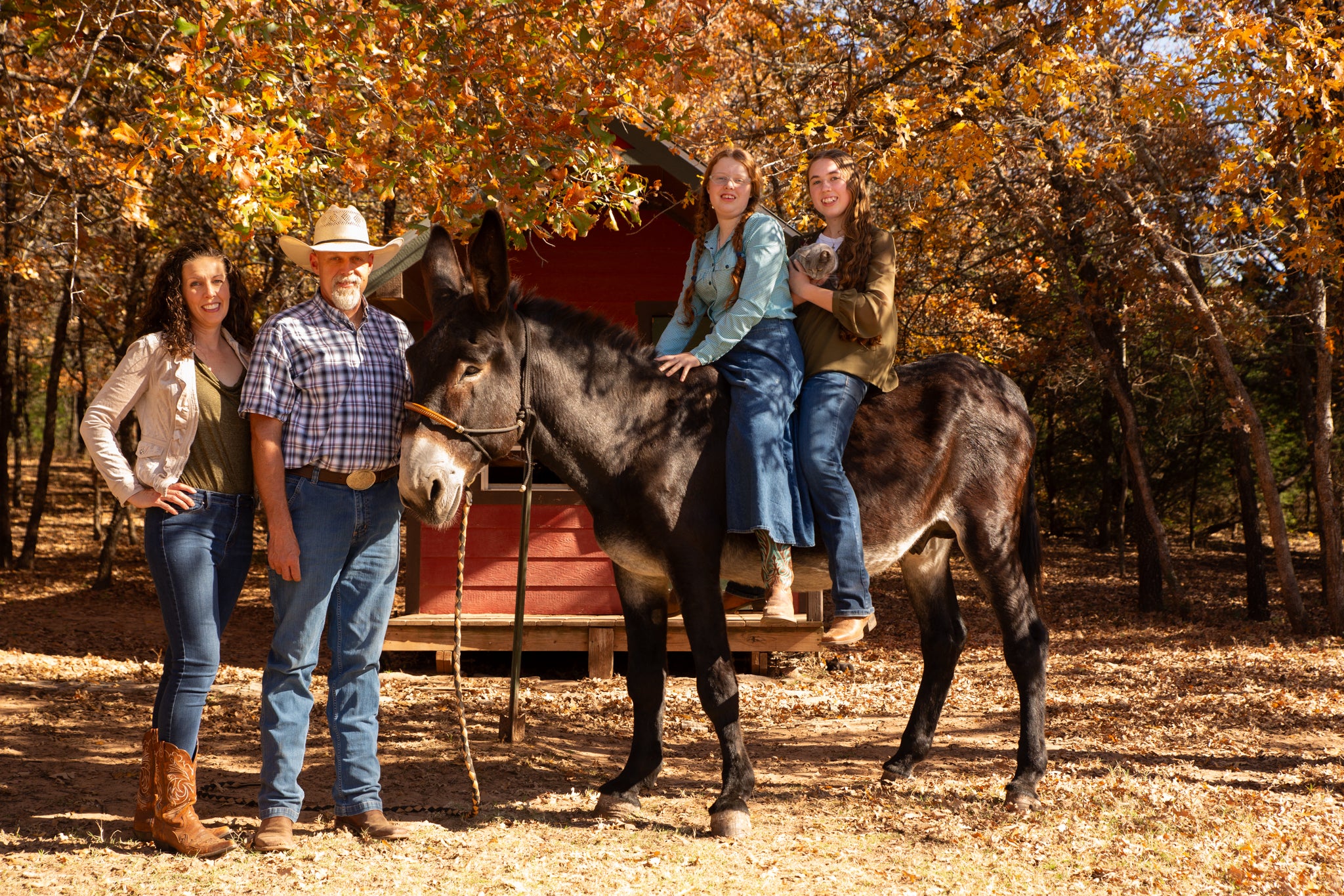 Raw Donkey Milk: Schedule pickup at Oklahoma Donkey Dairy