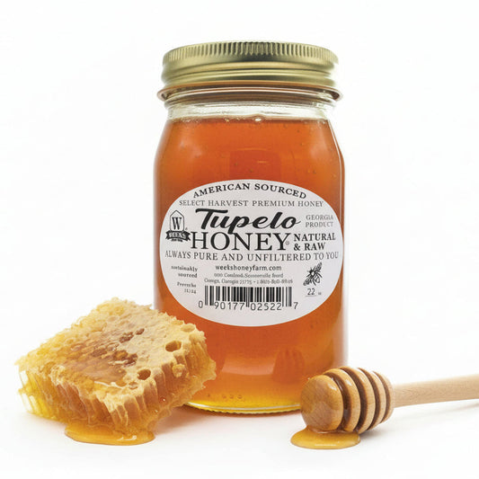 Raw Georgia Tupelo Honey — Buttery & Smooth