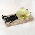Load image into Gallery viewer, Hawaiian Grade A Vanilla Beans - Proudly Grown in the USA
