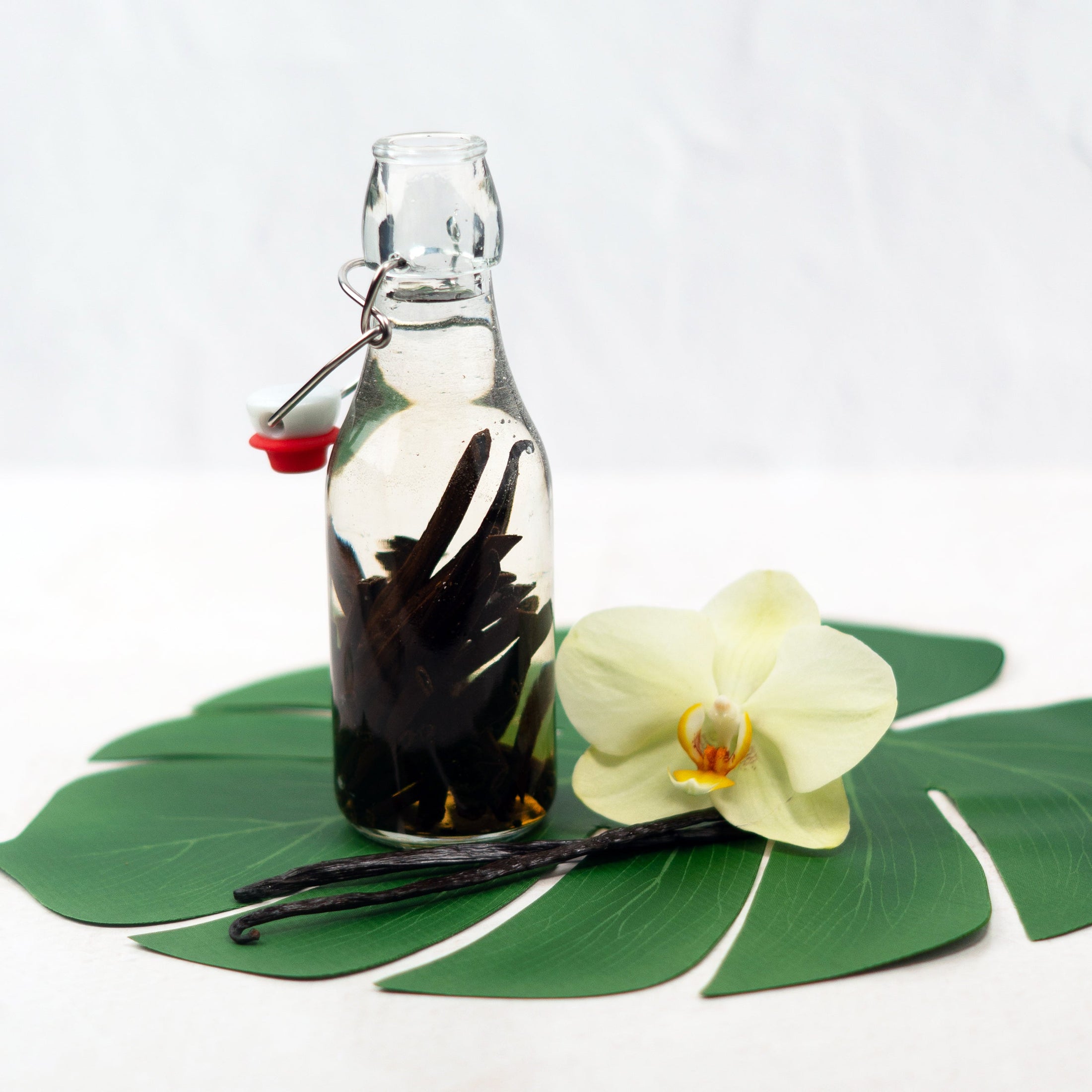 Hawaiian Grade A Vanilla Beans - Proudly Grown in the USA