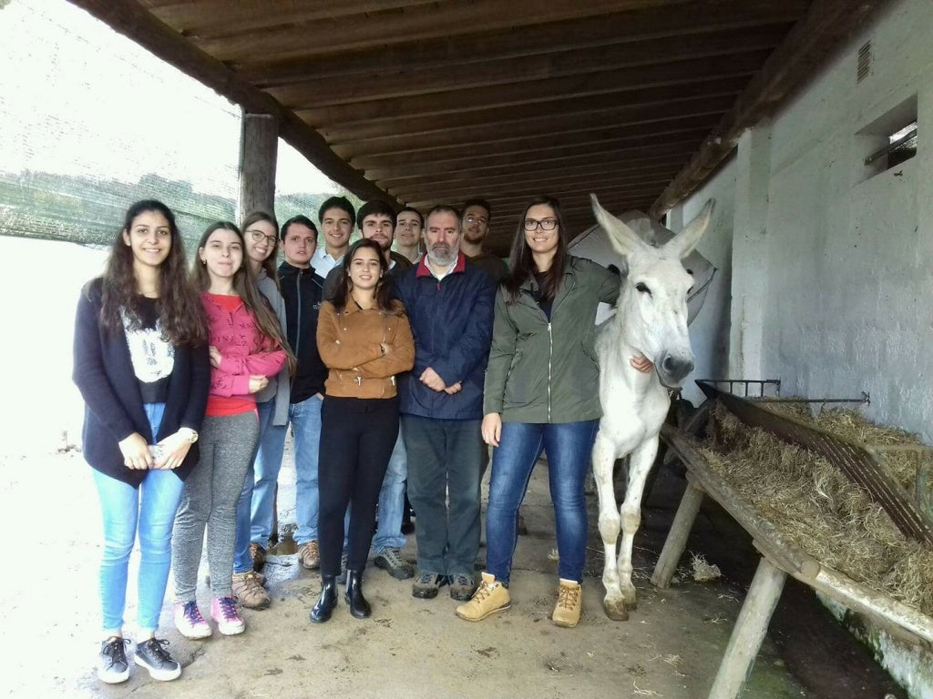 Freeze Dried Donkey Milk (Wheat and Tree Nut Free)