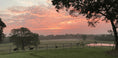 Load image into Gallery viewer, 15 lbs Ground Beef Box - JT2 Ranch Collective
