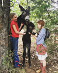 Load image into Gallery viewer, Raw Donkey Milk: Schedule pickup at Oklahoma Donkey Dairy
