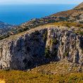Cargar la imagen en la vista de la galería, Greek Oregano (Ikaria Blue Zone)
