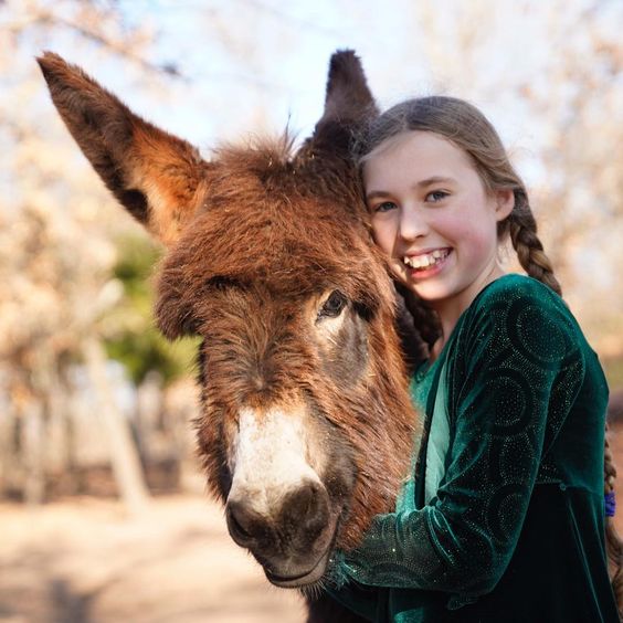 Raw Donkey Milk: Schedule pickup at Oklahoma Donkey Dairy