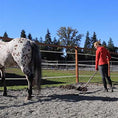 Cargar la imagen en la vista de la galería, Lighthoof Equine Mud Management Panel
