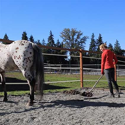 Lighthoof Equine Mud Management Panel