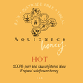 Load image into Gallery viewer, Ghost Pepper Infused Hot Honey
