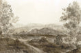 Cargar la imagen en la vista de la galería, Somerset Fields Wallpaper by Safari Natalia x Taddy Mikelaites
