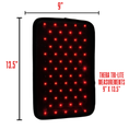 Load image into Gallery viewer, Therasage Tri-Lite™ Red Light Therapy Panel
